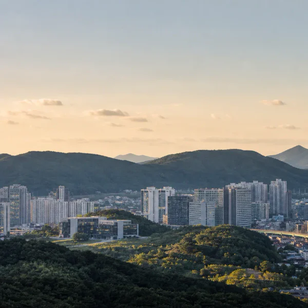 포레스트 클로이아지트 마사지 안내 이미지